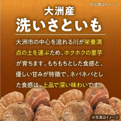 【冷凍】【先行受付】【10月上旬より順次発送】洗い里芋500g×3袋 [AGBN039]