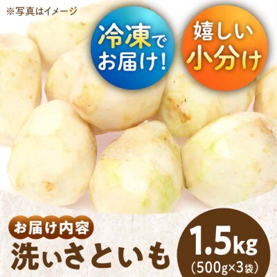 【冷凍】【先行受付】【10月上旬より順次発送】洗い里芋500g×3袋 [AGBN039]