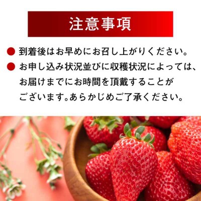 【冷凍】いちご 紅ほっぺ 800g×2パックセット [AGBN041]