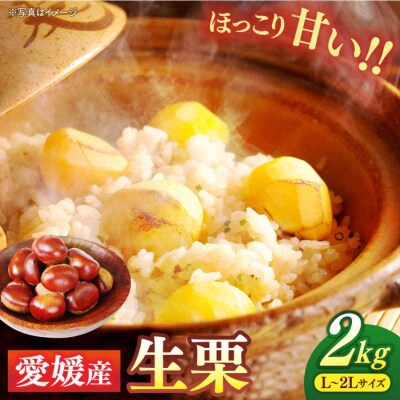 【先行受付】【9月上旬より順次発送】秋深まる味覚の宝!生栗2kg(L-2L) [AGBN043]