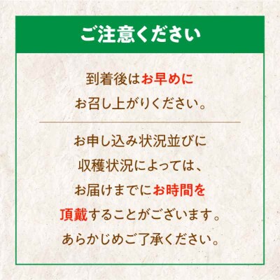 【先行受付】【9月上旬より順次発送】秋深まる味覚の宝!生栗2kg(L-2L) [AGBN043]