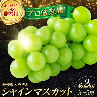 【先行受付】【9月上旬より順次発送】贈答用 特秀 シャインマスカット約2kg[AGBN044]