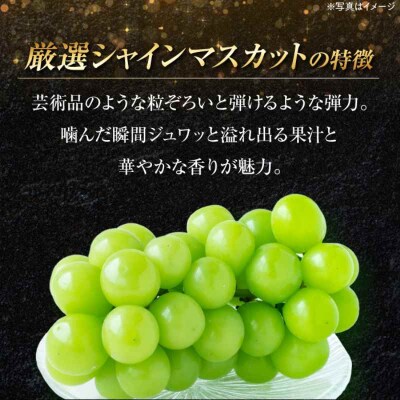 【先行受付】【9月上旬より順次発送】贈答用 特秀 シャインマスカット約2kg[AGBN044]