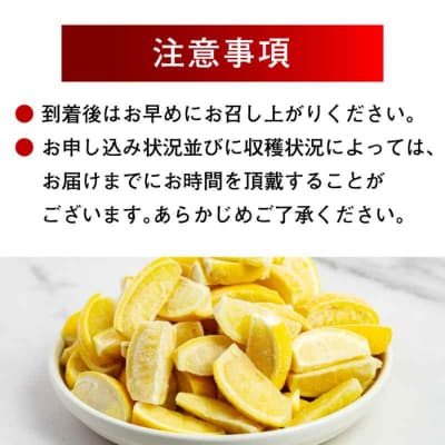 【冷凍】くし切りカットですぐ使える!国産レモン 1000g×2袋 [AGBN045]