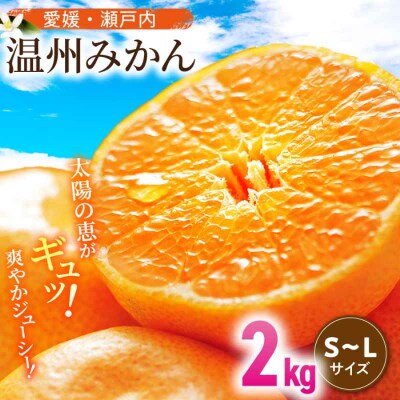 【先行受付】【11月中旬より順次発送】瀬戸内のめぐみ!温州みかん(S~L)2kg [AGBN046]