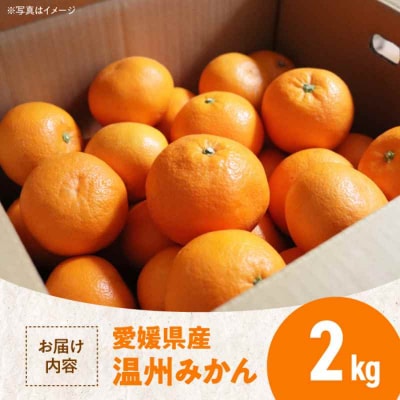 【先行受付】【11月中旬より順次発送】瀬戸内のめぐみ!温州みかん(S~L)2kg [AGBN046]