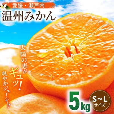 【先行受付】【11月中旬より順次発送】瀬戸内のめぐみ!温州みかん(S~L)5kg [AGBN047]