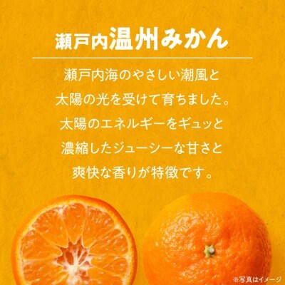 【先行受付】【11月中旬より順次発送】瀬戸内のめぐみ!温州みかん(S~L)5kg [AGBN047]