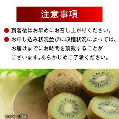 【冷凍】キウイ 800g×2袋 [AGBN048]