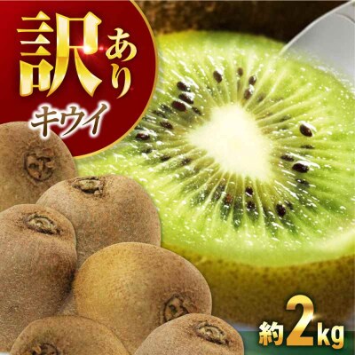 【先行受付】【12月上旬から順次発送】訳アリ キウイフルーツ 約2kg [AGBN051]