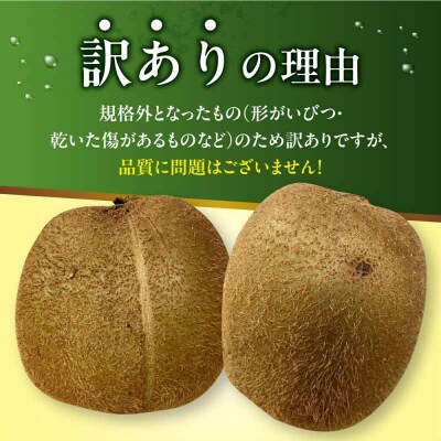 【先行受付】【12月上旬から順次発送】訳アリ キウイフルーツ 約2kg [AGBN051]