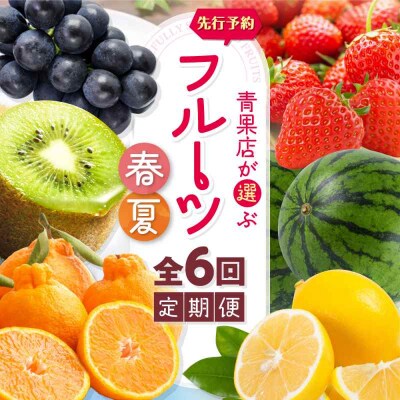 【先行受付】【全6回定期便】フルーツ定期便 [AGBN052]