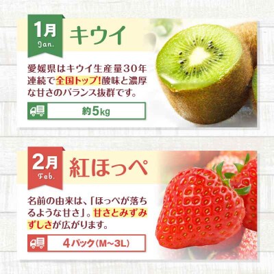 【先行受付】【全6回定期便】フルーツ定期便 [AGBN052]