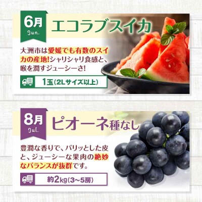 【先行受付】【全6回定期便】フルーツ定期便 [AGBN052]
