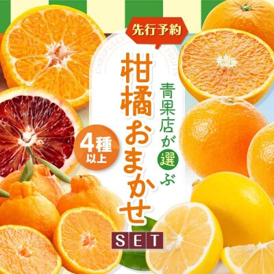 【先行受付】【3月上旬発送】柑橘おまかせセット [AGBN053]