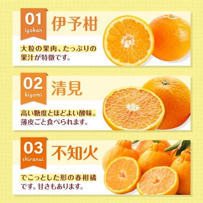 【先行受付】【3月上旬発送】柑橘おまかせセット [AGBN053]