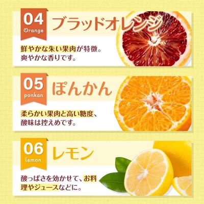 【先行受付】【3月上旬発送】柑橘おまかせセット [AGBN053]