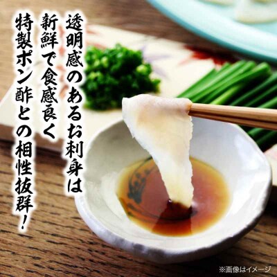 【先行受付】【10月上旬から順次発送】天然トラフグうすづくりセット [AGBP001]