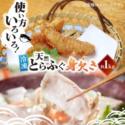 【先行受付】【10月上旬から順次発送】天然とらふぐ身欠き 1kg[AGBP003]