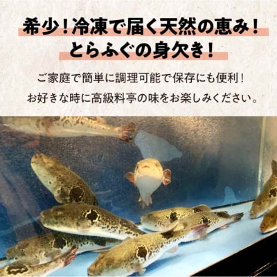 【先行受付】【10月上旬から順次発送】天然とらふぐ身欠き 1kg[AGBP003]
