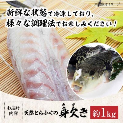 【先行受付】【10月上旬から順次発送】天然とらふぐ身欠き 1kg[AGBP003]