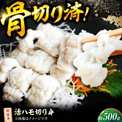 【先行受付】【5月上旬から順次発送】活きハモの骨切り 2人前 約500g[AGBP006]