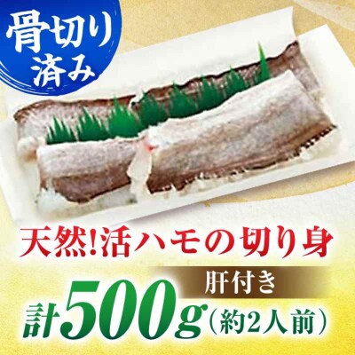 【先行受付】【5月上旬から順次発送】活きハモの骨切り 2人前 約500g[AGBP006]