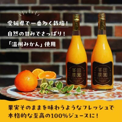 手作り 温州みかん 100%ストレートジュース 720ml×6本 [AGBT014]