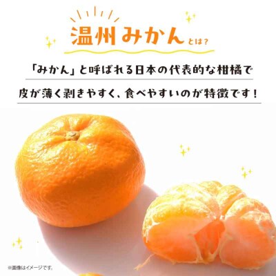 手作り 温州みかん 100%ストレートジュース 720ml×6本 [AGBT014]