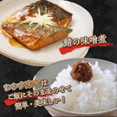 創業100年歴史!伝統の蔵元で造られたこだわりの味噌セット [AGBU001]