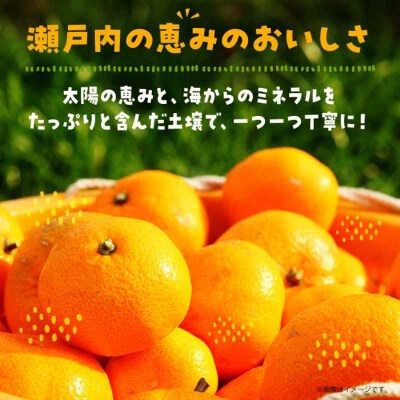 うんしゅうみかんジュース(ストレート)1L×4本 [AGBV001]