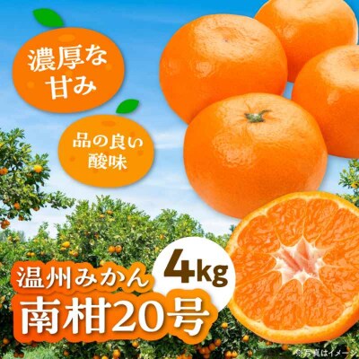 【先行受付】【12月上旬から順次発送】温州みかん 南柑20号 約4kg [AGBW002]