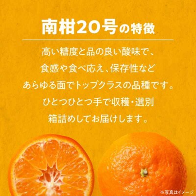 【先行受付】【12月上旬から順次発送】温州みかん 南柑20号 約4kg [AGBW002]