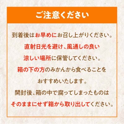 【先行受付】【12月上旬から順次発送】温州みかん 南柑20号 約4kg [AGBW002]