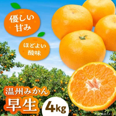 【先行受付】【11月上旬から順次発送】温州みかん 早生 約4kg [AGBW003]