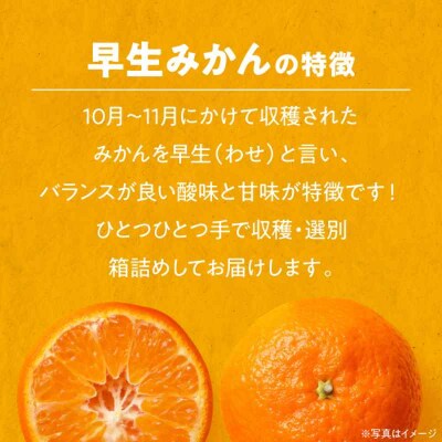 【先行受付】【11月上旬から順次発送】温州みかん 早生 約4kg [AGBW003]