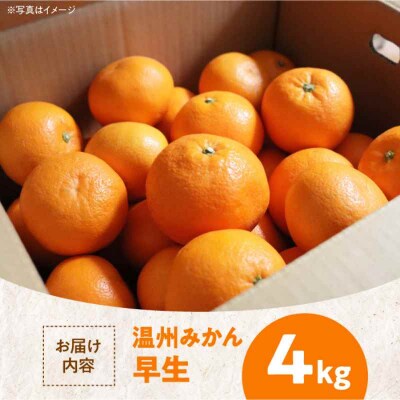 【先行受付】【11月上旬から順次発送】温州みかん 早生 約4kg [AGBW003]