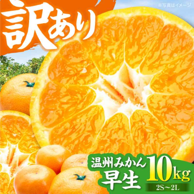 【先行受付】【11月中旬より順次発送】ちょっと訳あり 温州みかん 10kg [AGBW007]