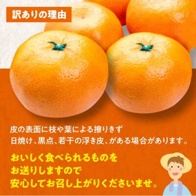 【先行受付】【11月中旬より順次発送】ちょっと訳あり 温州みかん 10kg [AGBW007]