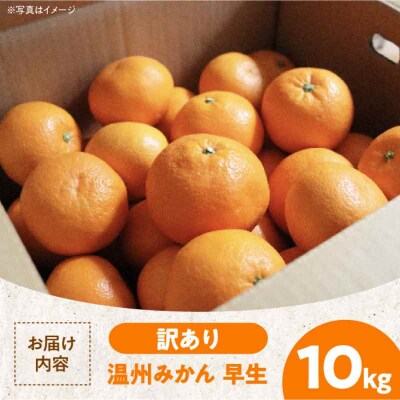 【先行受付】【11月中旬より順次発送】ちょっと訳あり 温州みかん 10kg [AGBW007]