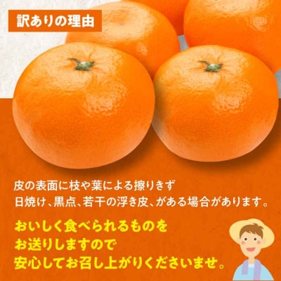 【先行受付】【12月中旬から順次発送】ちょっと訳あり 温州みかん 10kg [AGBW009]