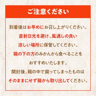 【先行受付】【12月中旬から順次発送】ちょっと訳あり 温州みかん 10kg [AGBW009]
