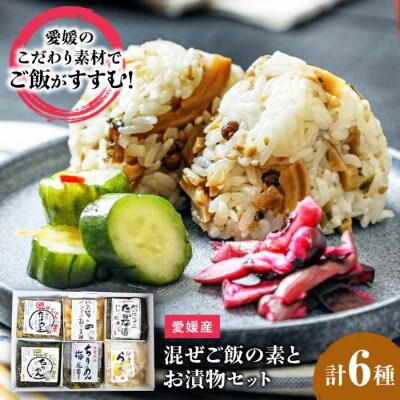 愛媛混ぜご飯の素とお漬物セット [AGBY006]