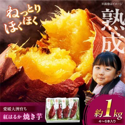 愛媛大洲育ち 熟成紅はるか焼き芋 1kg(4から6本入り) [AGBY007]
