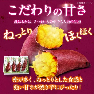 愛媛大洲育ち 熟成紅はるか焼き芋 1kg(4から6本入り) [AGBY007]