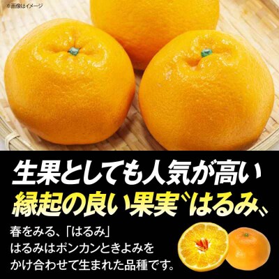 はるみジュース 2本 [AGCT001]