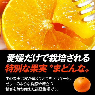 まどんな・はるみジュース 2種各1本 [AGCT003]