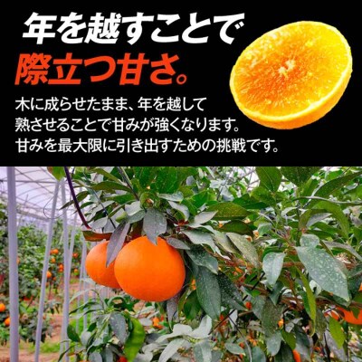 【先行受付】【1月中旬頃から順次発送】 年越しまどんな&まどんなジュースセット [AGCT005]