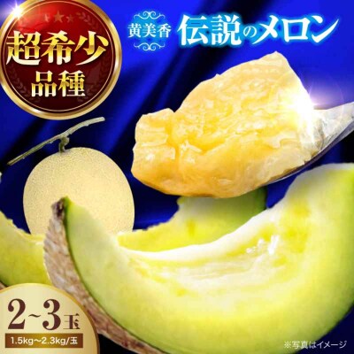 【先行受付】【6月下旬から順次発送】甘さ極まる希少品種!メロン 黄美香(2-3玉)[AGCX001]