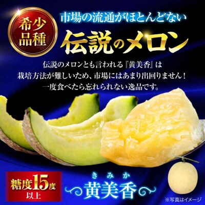 【先行受付】【6月下旬から順次発送】甘さ極まる希少品種!メロン 黄美香(2-3玉)[AGCX001]